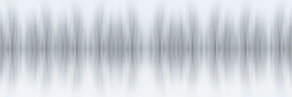 Visioni riflesse