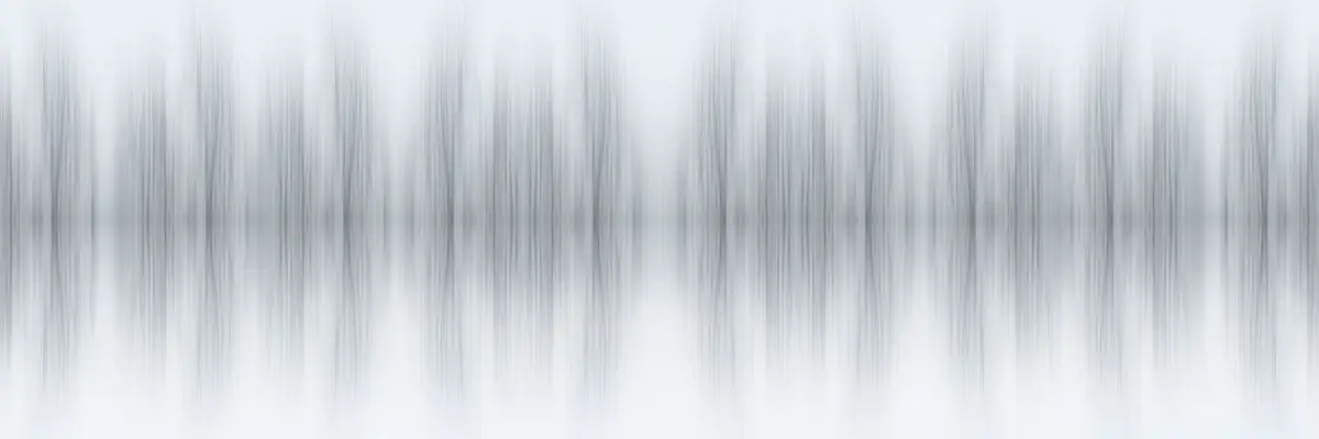 Visioni riflesse