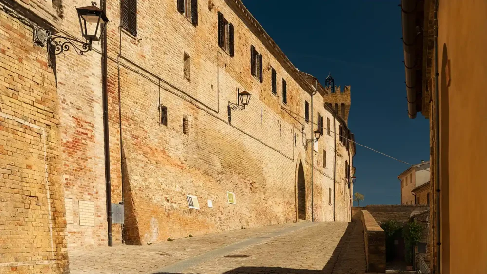 L'ulivo sui bastioni