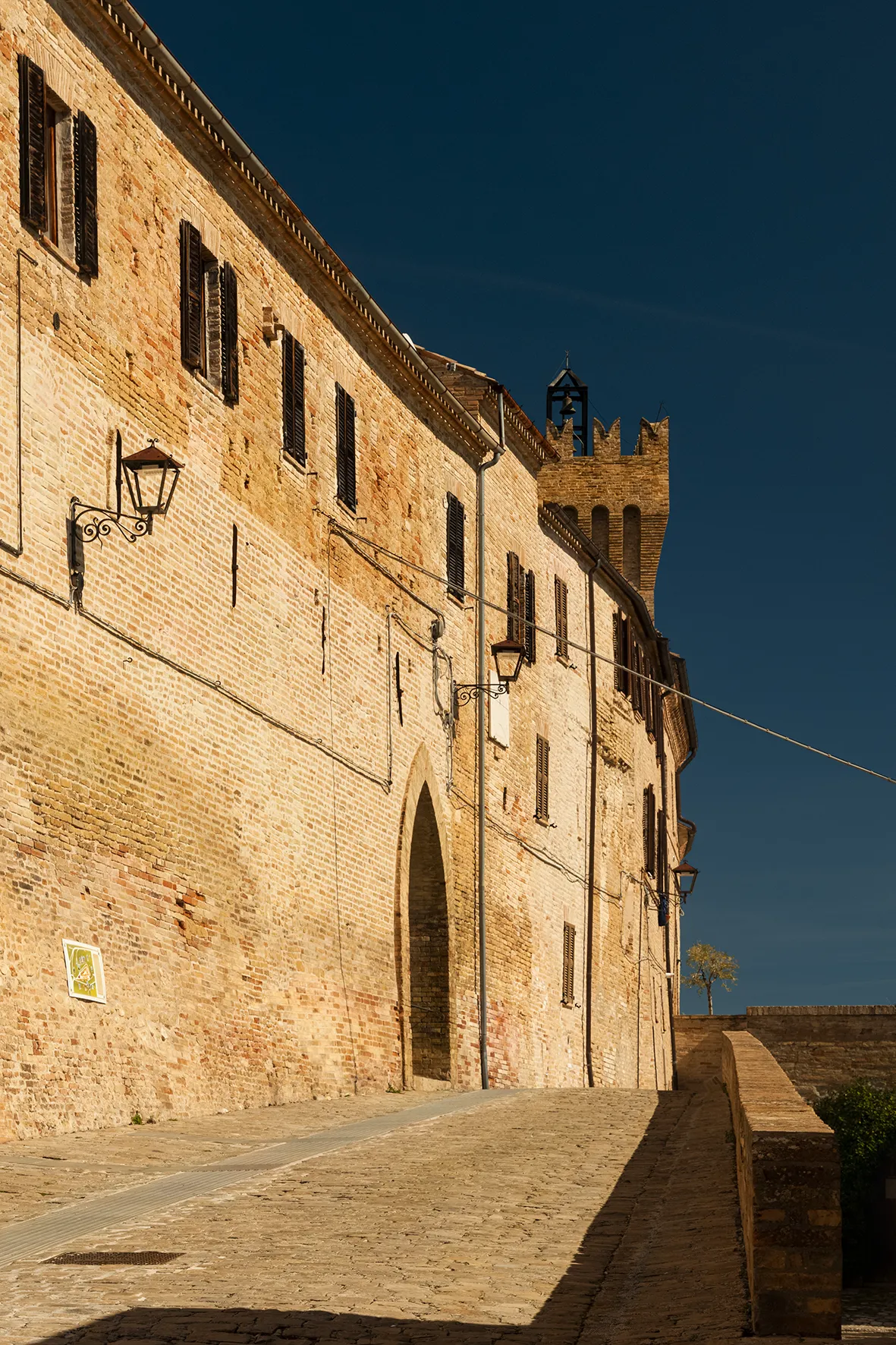 L'ulivo sui bastioni - immagine 3