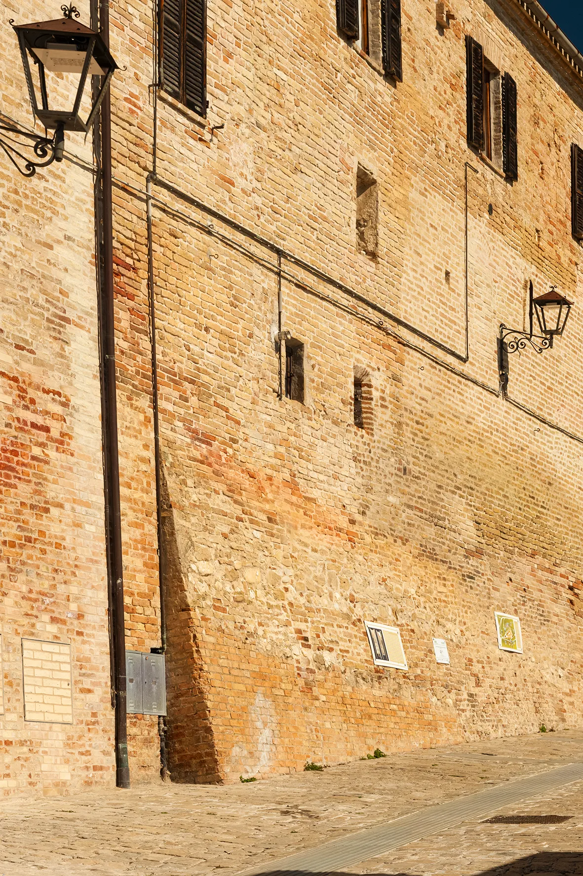 L'ulivo sui bastioni - immagine 4