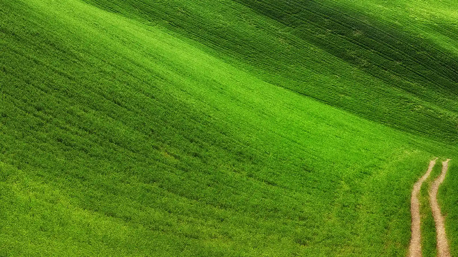 Verde mare